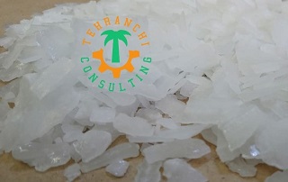 سود پرک