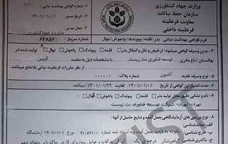 گواهی بهداشت