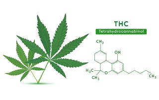 تتراهیدروکانابینول THC