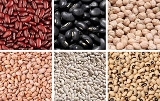 بررسی انواع لوبیا