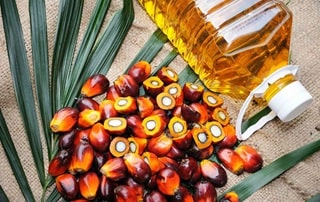 روغن پالم